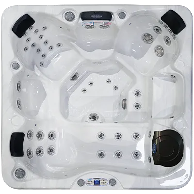Avalon EC-849L hot tubs for sale in Northport